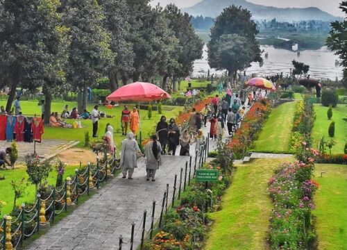 Kashmir Family Delight ( 5 Days / 4 Nights )